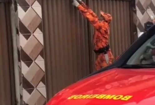 Corpo de Bombeiros resgata jiboia que estava em garagem de casa em Fortaleza