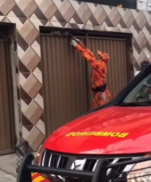 Corpo de Bombeiros resgata jiboia que estava em garagem de casa em Fortaleza