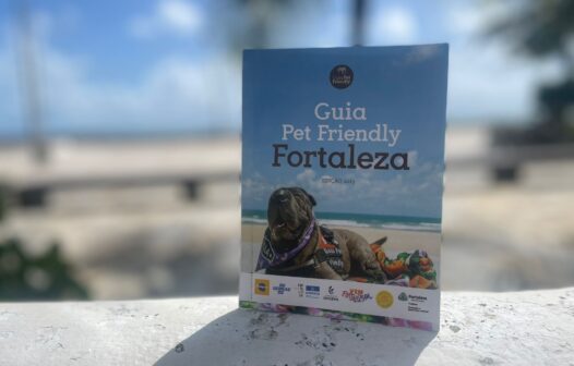 Guia Pet Friendly: publicação traz dicas de locais credenciados para receber tutores e pets