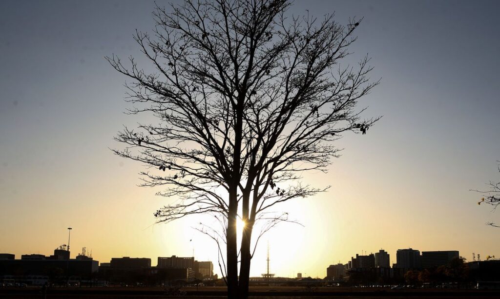 Níveis recordes: estudo prevê elevação de temperaturas globais nos próximos anos