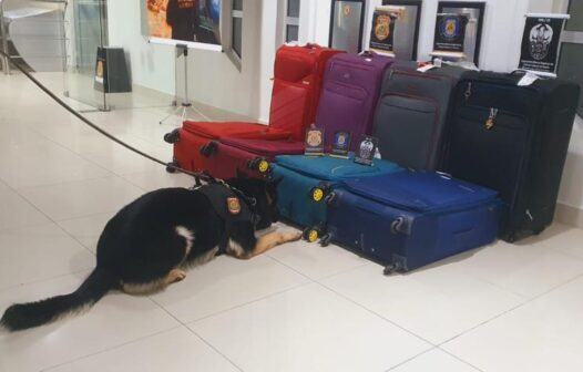 Oito passageiros são presos por tráfico internacional de drogas no Aeroporto de Fortaleza