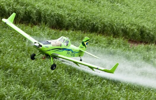 STF mantém lei do Ceará que proibiu pulverização aérea de agrotóxicos