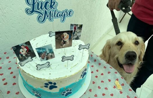Cachorro Luck, baleado em março, recebe alta médica