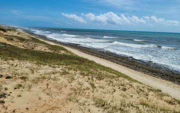 18 pontos de praia de Fortaleza estão próprios para banho neste fim de semana, indica Semace