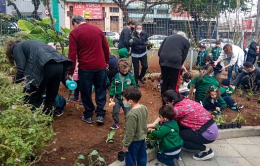 Projetos são exemplo de boas práticas em alimentação escolar