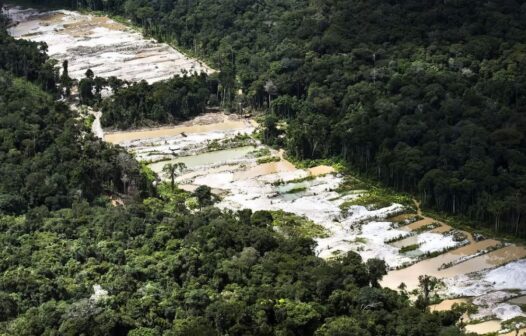 Força-tarefa destrói dez garimpos ilegais na Amazônia