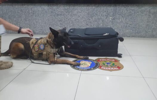 Polícia Federal prende passageiro por tráfico internacional de drogas no Aeroporto de Fortaleza