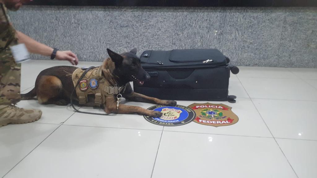 Polícia Federal prende passageiro por tráfico internacional de drogas no Aeroporto de Fortaleza