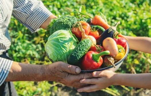 Crédito do BNDES para agricultura familiar aumenta 277% no Norte e Nordeste