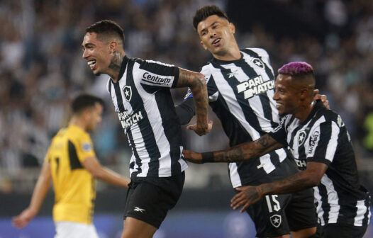 Botafogo x Bahia: saiba onde assistir ao vivo ao jogo (27/08)