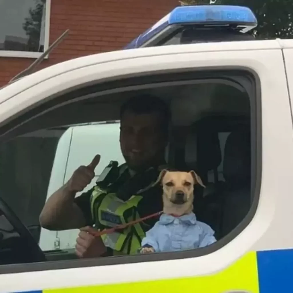 Cachorro de camisa social posa para foto após ser “preso” pelo polícia