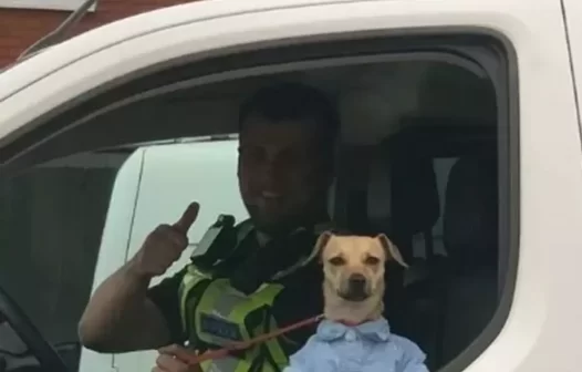 Cachorro de camisa social posa para foto após ser “preso” pelo polícia