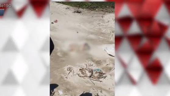 Corpo de mulher é encontrado seminu e esquartejado em praia de Fortaleza