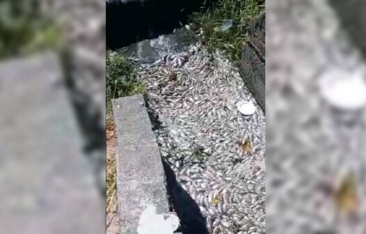 Mais de 200 quilos de peixes mortos são retirados de lagoa em Fortaleza