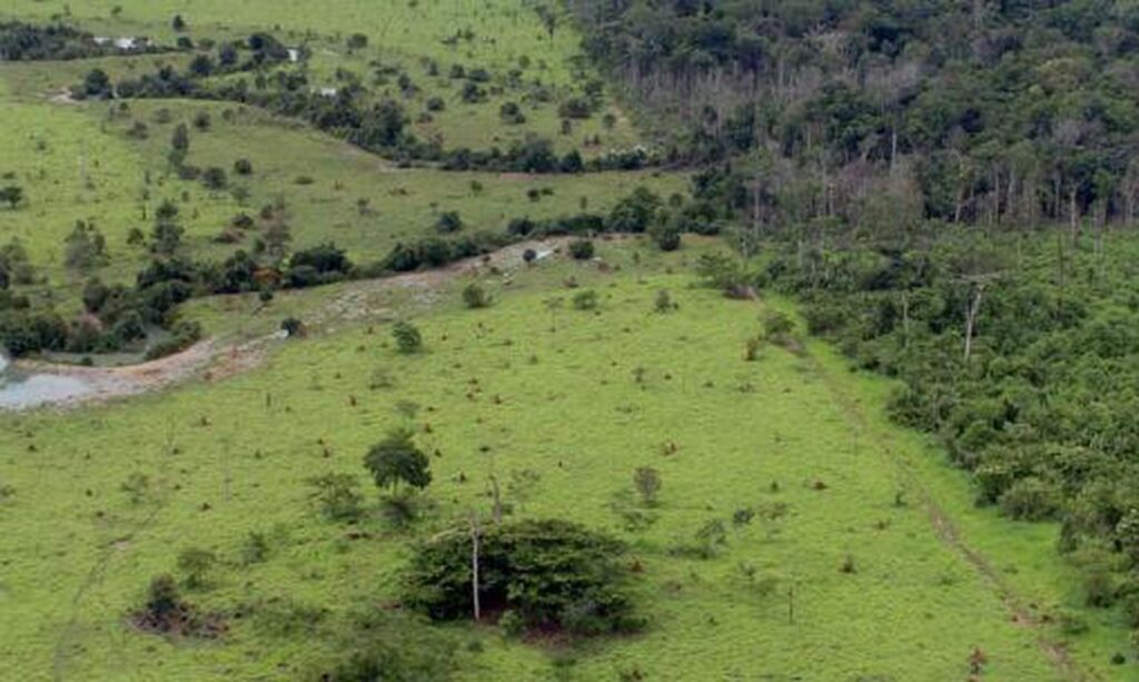 Período para entrega da declaração do Imposto Territorial Rural começa nesta segunda-feira (14)