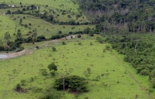 Período para entrega da declaração do Imposto Territorial Rural começa nesta segunda-feira (14)