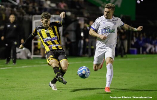 Avaí x Novorizontino: saiba onde assistir ao vivo ao jogo de hoje (11/09)