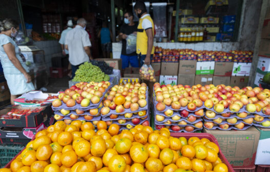 Ceará deve atrair quase R$ 2 bilhões em investimentos e gerar mais de 4 mil empregos; entenda