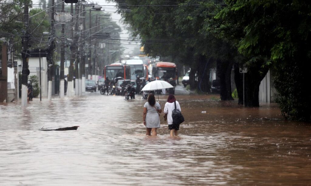 ‘Enchente das goiabas’: entenda a expressão lembrada neste dia 19 de março