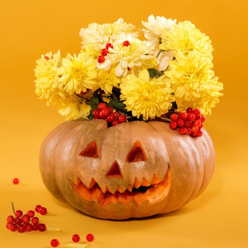 Halloween: confira ideias criativas de flores e plantas para a decoração