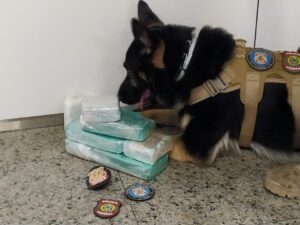 Mulher é presa com 5 quilos de cocaína colados ao corpo no Aeroporto de Fortaleza