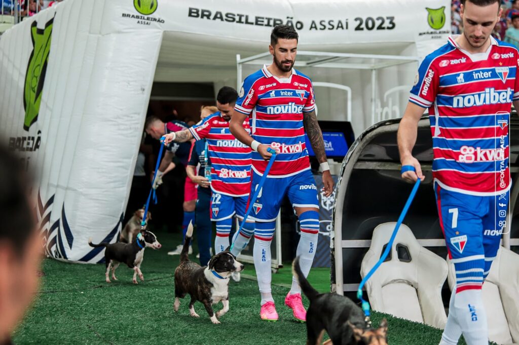 Fortaleza faz ação em prol da adoção de animais antes de jogo contra América-MG