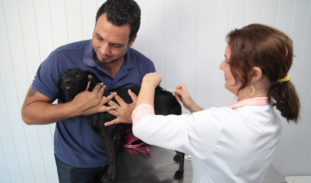 Fortaleza terá Dia “D” de vacinação contra a raiva para cães e gatos neste sábado (11); confira os locais