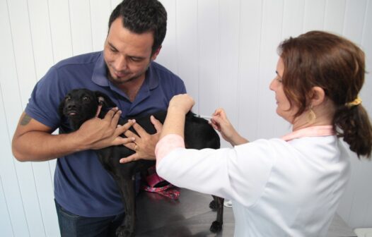 Fortaleza realiza Dia “D” de vacinação contra a raiva para cães e gatos neste sábado (11); veja os locais