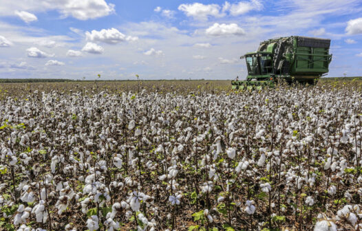 Semace lança novo sistema para cadastro de agrotóxicos no Ceará