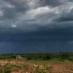 Funceme registra chuvas em 63 municípios do Ceará