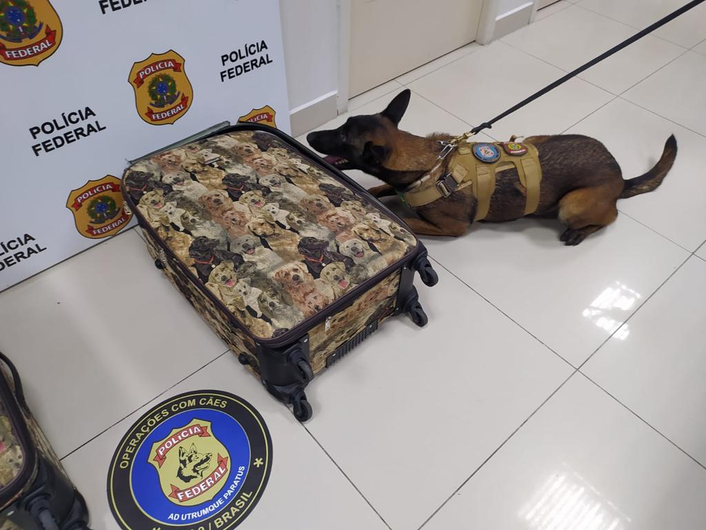 Mulher é encontrada com mala cheia de drogas no Aeroporto de Fortaleza