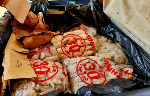 Dois homens são presos com 380 quilos de carne de caranguejo imprópria para o consumo