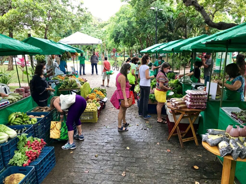 Feira agroecológica em Fortaleza promove roda de conversa com liderança indígena boliviana