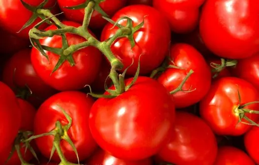 Quilo do tomate aumenta de preço e pode custar até R$ 10 nas feiras livres de Fortaleza