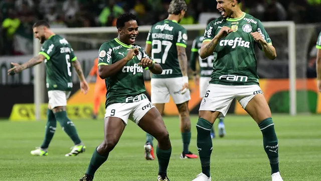 Palmeiras x Botafogo/SP: onde assistir ao vivo hoje (20/02)