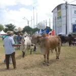 68ª Expoece reúne grandes nomes do setor agropecuário e presença da Sudene