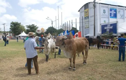 68ª Expoece reúne grandes nomes do setor agropecuário e presença da Sudene