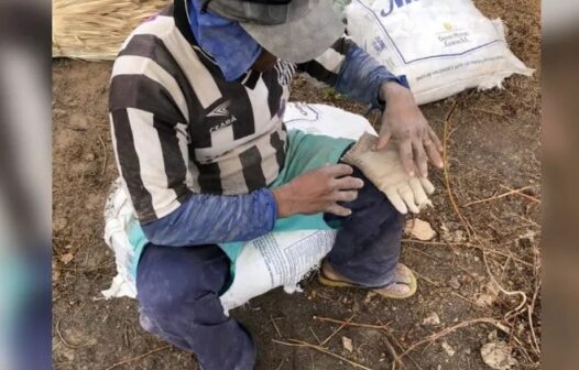 Sete trabalhadores são resgatados de situação análoga à escravidão em fazenda no Ceará; saiba como denunciar