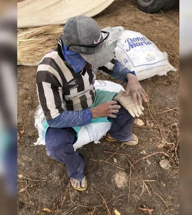 Sete trabalhadores são resgatados de situação análoga à escravidão em fazenda no Ceará; saiba como denunciar