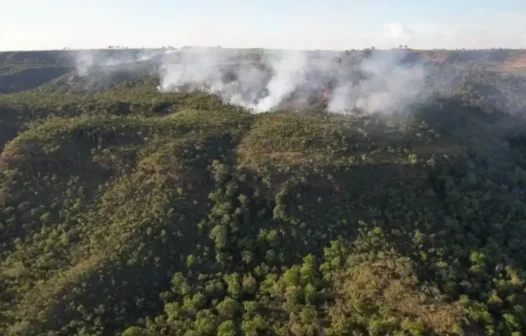 Incêndio atinge divisa do Santuário de Elefantes em Mato Grosso