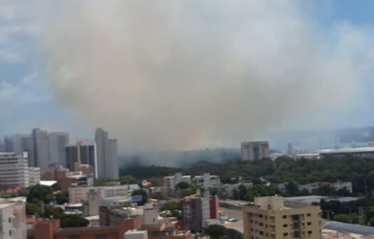 Fumaça se espalha por Fortaleza após incêndio no Parque do Cocó