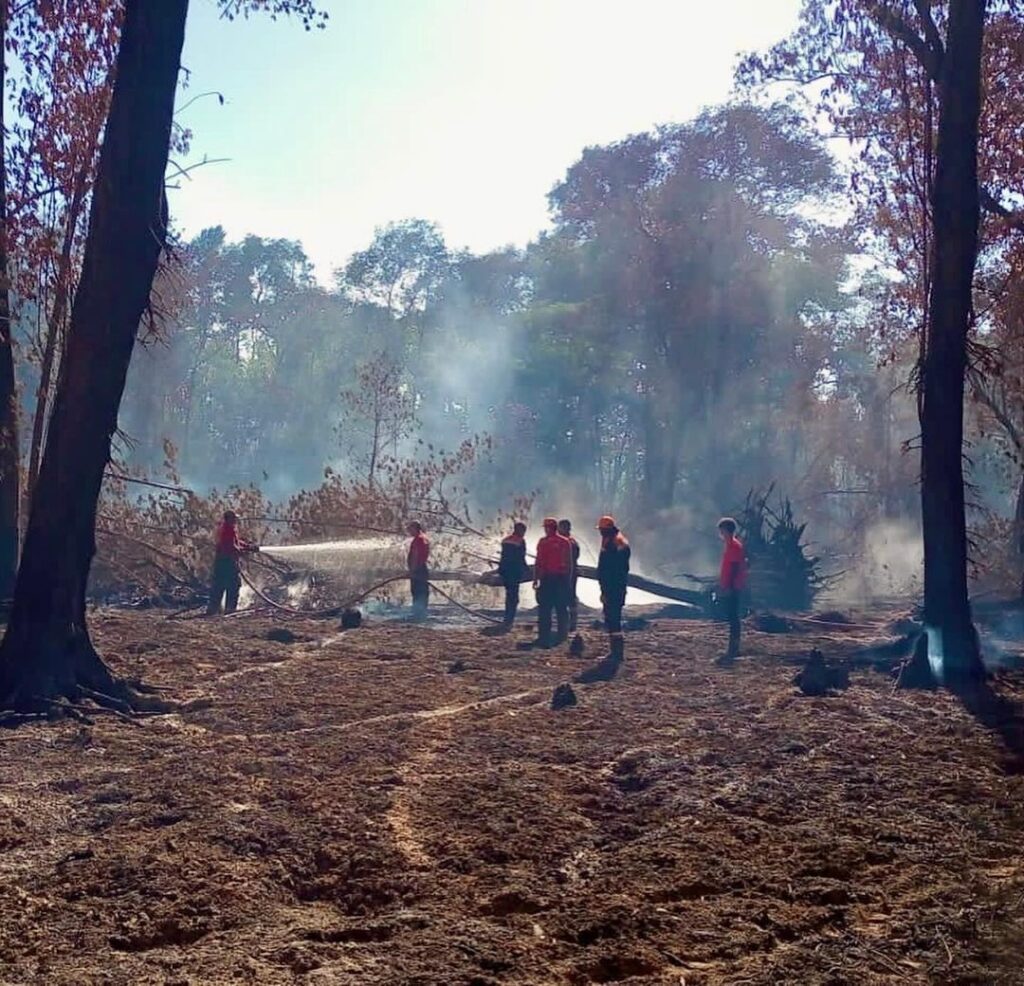 Bombeiros combatem durante a madrugada poucos focos de incêndio ativos no Cocó