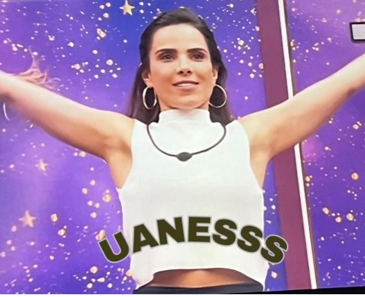 Dado Dolabella comenta estreia de Wanessa Camargo no BBB 24