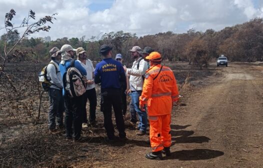 Bombeiros monitoram Parque do Cocó para evitar novos focos de incêndio