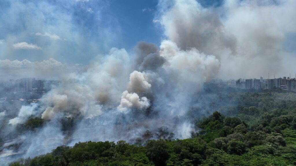 Funceme: Chuvas para os próximos dias não devem imapctar incêndio do Cocó