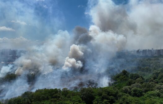 Funceme: Chuvas para os próximos dias não devem impactar incêndio do Cocó