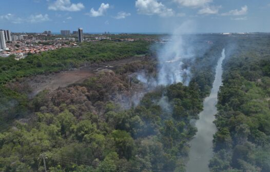 Incêndio no Parque do Cocó já dura mais de 35 horas