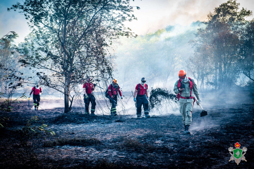 Combate ao incêncio no Parque do Cocó já dura três dias e pode se estender até domingo (21)