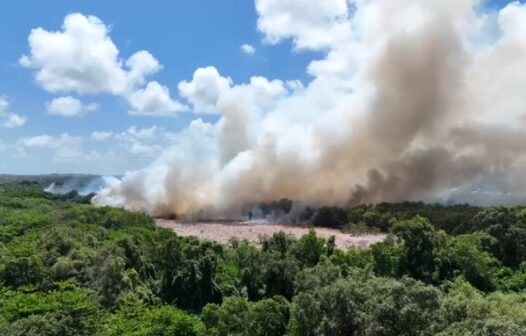 Incêndio no Cocó: Grupo de Trabalho é criado para recuperar áreas afetadas