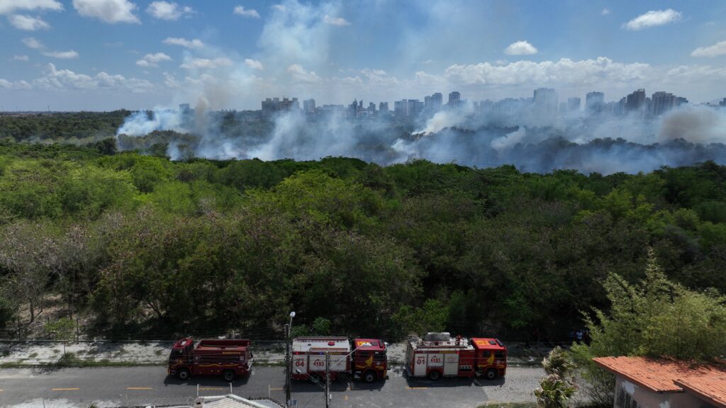 Incêndio no Parque do Cocó: sem previsão para acabar, Corpo de Bombeiros segue combatendo o fogo 